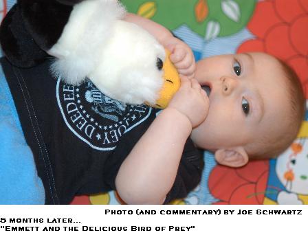 5 months later... "Emmett and the Delicious Bird of Prey" (Photo and commentary by Joe Schwartz)