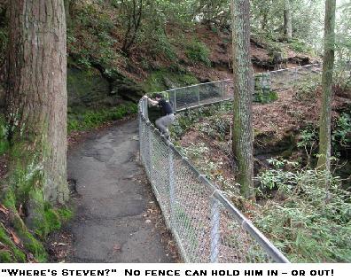 "Where's Steven?" No fence can hold him in -- or out!