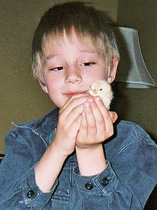 Flashback - Ethan with newly arrived chick